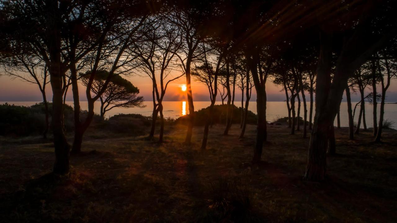 Villette Acquamarina Budoni Dış mekan fotoğraf
